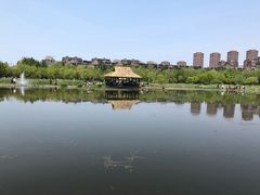 -前关湿地公园