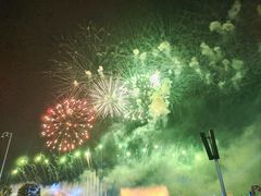 -九龙湖公园