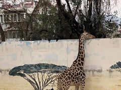 -昆明动物园