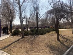 -长春公园(普阳街道)