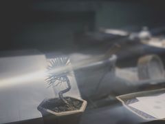 -みかわ是山居