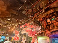-正佳雨林生态植物园