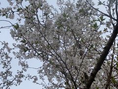 -江苏三台山国家森林公园