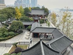 -杜甫江阁