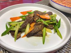 羊肚菌-沁园春酒店(沿河街店)