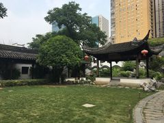 -大塘金香草谷