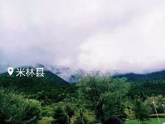 -林芝工布庄园希尔顿酒店-猎味中餐厅
