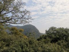 -鼎湖山风景区