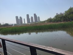 -前关湿地公园