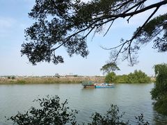 -大湾区中央湿地公园