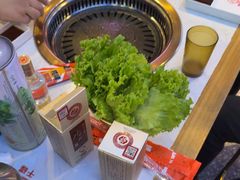 -杨记齐齐哈尔烤肉(总店)