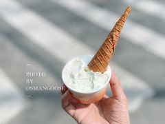 -Dip in Gelato(富民路店)