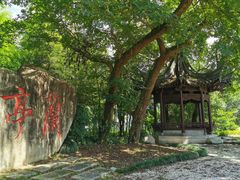 -兰亭风景区