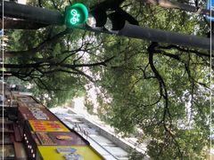 -阿姨奶茶专卖(舌涧道杭州惠民路创始店)