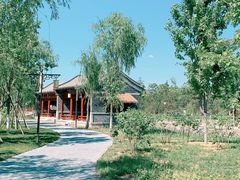 -张家湾公园