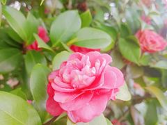 -艾溪湖湿地公园