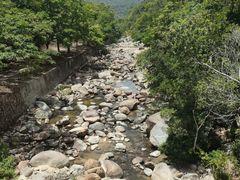 -海南热带雨林国家公园吊罗山景区
