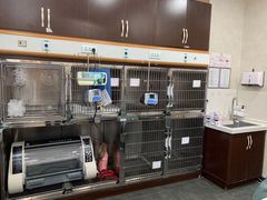 -宠爱国际动物医院·疑难骨科·心肾内科·皮肤科(太阳宫店)