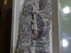 -奈雪的茶(振华商厦店)