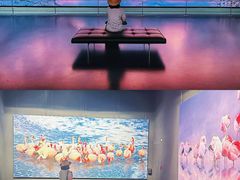 -罗红摄影艺术馆