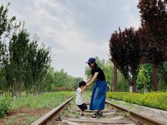 -永定河休闲森林公园