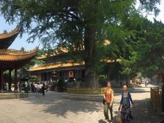 -普陀山风景名胜区-法雨禅寺