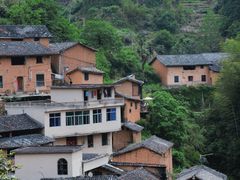 -杨家堂村