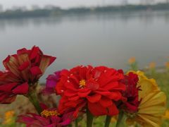 -海珠湖公园