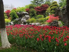 -上海鲜花港