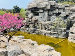 -北京西山国家森林公园