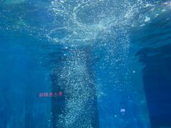 -福州罗源湾海洋世界旅游区