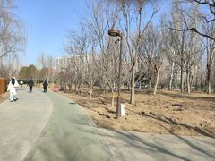 -回龙观体育文化公园