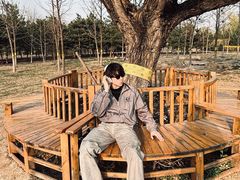 -永定河休闲森林公园