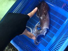 -班赞海鲜市场