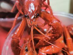 酒糟小龙虾-王宝和酒家(黄浦店)