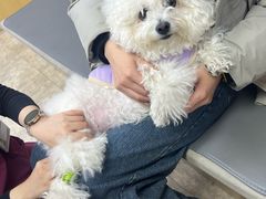 -美联众合动物医院·24h转诊中心