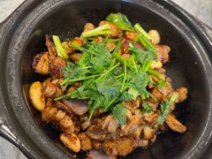 -朱记乳鸽王·非遗石岐乳鸽·全鸽宴(大兴旗舰店)