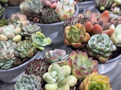 -鹿岛生活(熙地港店)