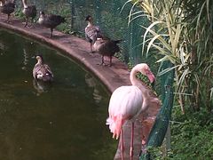 -九龙公园