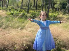 -春花秋色城市公园