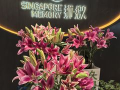 -狮拾久·现代新加坡料理(福田COCO Park店)