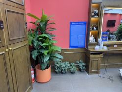 -贝勒爷专业男发