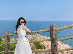 -广东惠东海龟国家级自然保护区