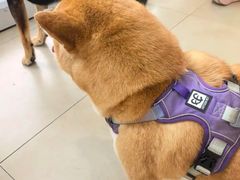 -美迦爱-牙专科·兔科·骨科诊疗中心(北苑店)