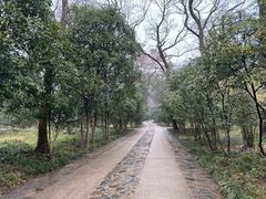 -灵谷景区