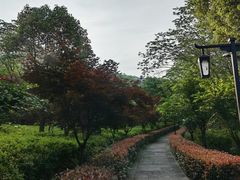 -兰亭风景区