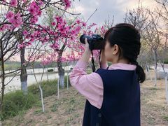 -红莲湖