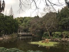 -叶家花园