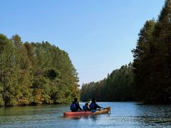-上海海湾国家森林公园