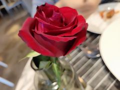 -at cafe 意大利餐厅(集美店)